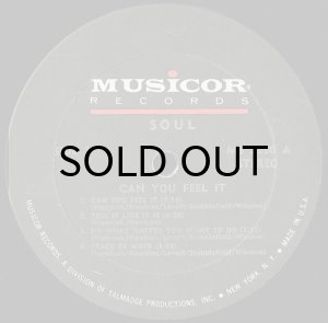 画像3: SOUL / CAN YOU FEEL IT (3)