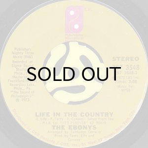 画像2: THE EBONYS / HOOK UP AND GET DOWN b/w LIFE IN THE COUNTRY (45's) (2)