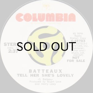 画像2: BATTEAUX / TELL HER SHE'S LOVELY (45's) (2)