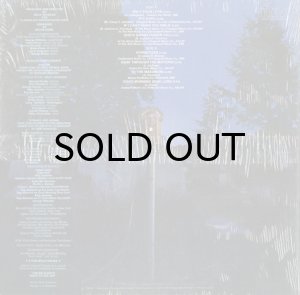 画像2: THE TYMES / TYMES UP (2)