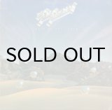 EXIT 9 / STRAIGHT UP - Breakwell Records