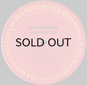 画像3: NEW HORIZONS / SOMETHING NEW (3)