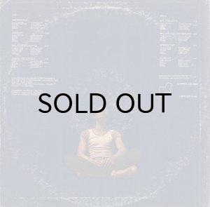 画像2: FREDDIE ROULETTE / SWEET FUNKY STEEL (2)