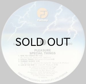 画像3: PLEASURE / SPECIAL THINGS (3)