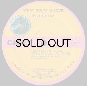 画像3: TERRY CALLIER / WHAT COLOR IS LOVE (3)