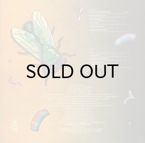 画像2: DR. JOHN / IN THE RIGHT PLACE (2)