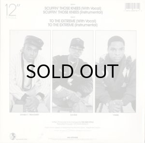 画像2: THE NEW STYLE / SCUFFIN' THOSE KNEES (2)