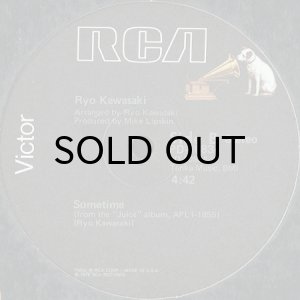 画像2: RYO KAWASAKI / THE BREEZE AND I (2)