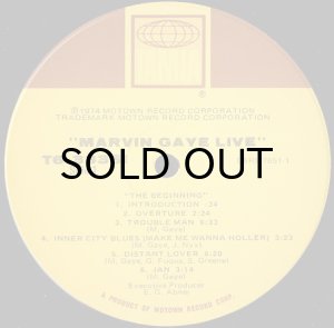 画像3: MARVIN GAYE / LIVE! (3)