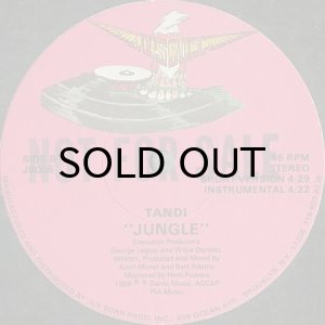画像2: TANDI / JUNGLE (2)