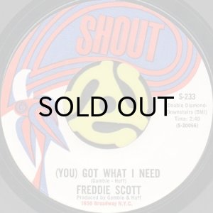 画像1: FREDDIE SCOTT / (YOU) GOT WHAT I NEED (45's) (1)