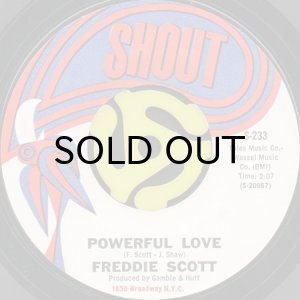 画像2: FREDDIE SCOTT / (YOU) GOT WHAT I NEED (45's) (2)