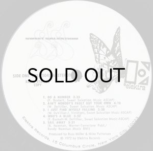 画像3: SWEET SALVATION / SAME (WHITE PROMO) (3)