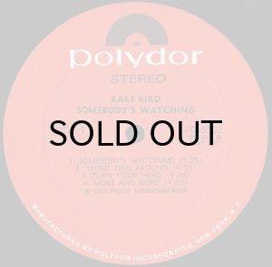 画像3: RARE BIRD / SOMEBODY'S WATCHING (3)