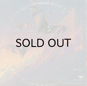 画像2: THE MYSTERIOUS FLYING ORCHESTRA / SAME (2)