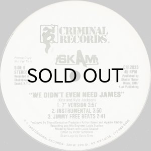 画像2: SKAM / WE DIDN'T EVEN NEED JAMES (2)