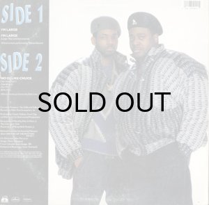 画像2: D.J. CHUCK CHILLOUT & KOOL CHIP / I'M LARGE (2)