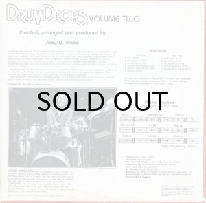 画像2: JOEY D. VIEIRA & DAVID CRIGGER / DRUMDROPS VOLUME TWO (2)