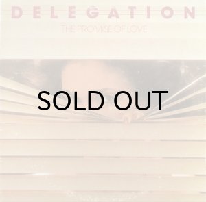画像1: DELEGATION / THE PROMISE OF LOVE (LP) (1)