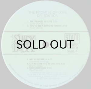 画像3: DELEGATION / THE PROMISE OF LOVE (LP) (3)