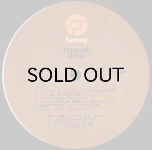 画像3: PLEASURE / JOYOUS (LP) (3)