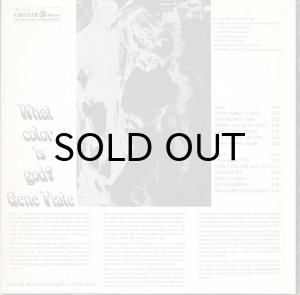 画像2: GENE VIALE / WHAT COLOR IS GOD (2)