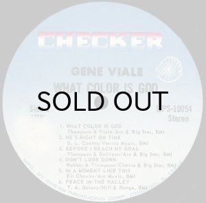 画像3: GENE VIALE / WHAT COLOR IS GOD (3)