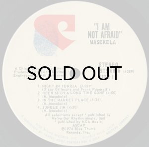 画像3: MASEKELA / I AM NOT AFRAID (3)