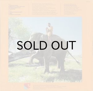 画像2: MASEKELA / I AM NOT AFRAID (2)