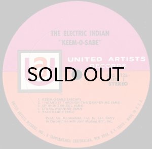 画像3: THE ELECTRIC INDIAN / KEEM-O-SABE (LP) (3)