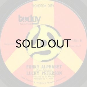 画像2: LUCKY PETERSON / OUR FUTURE b/w FUNKY ALPHABET (45's) (2)