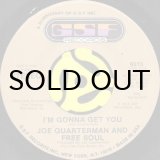 Joe Quarterman & Free Soul ７inch レコード 1106144259_618615e3e886e.jpg
