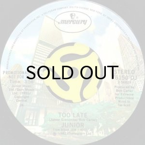 画像2: JUNIOR / TOO LATE (45's) (2)