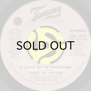 画像2: FORCE OF NATURE / SIMBA b/w A LITTLE BIT OF SOMETHING (45's) (2)