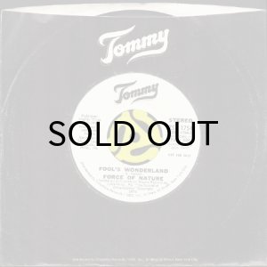 画像3: FORCE OF NATURE / FOOL'S WONDERLAND (45's) (3)