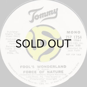 画像2: FORCE OF NATURE / FOOL'S WONDERLAND (45's) (2)