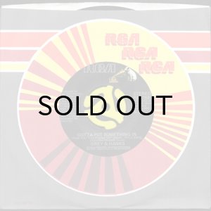 画像3: GREY & HANKS / GOTTA PUT SOMETHING IN (45's) (3)