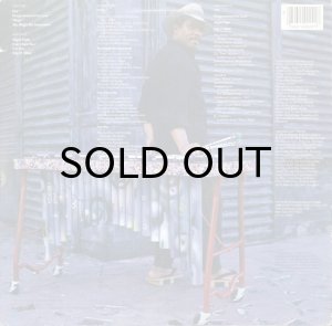 画像2: ROY AYERS / YOU MIGHT BE SURPRISED (2)