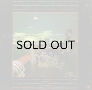 画像2: RICHIE HAVENS / CONNECTIONS (2)