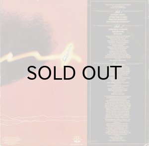 画像2: TRAVIS BIGGS / SOLAR FUNK (2)