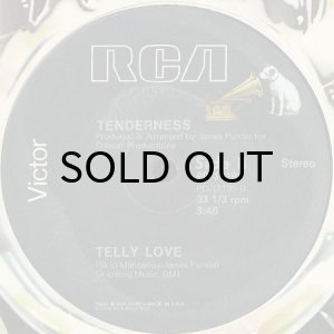 画像2: TENDERNESS / GOTTA KEEP ON TRYING (12) (2)