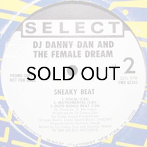 画像2: DJ DANNY DAN AND THE FEMALE DREAM / THE BEAT TO GET HYPE (2)