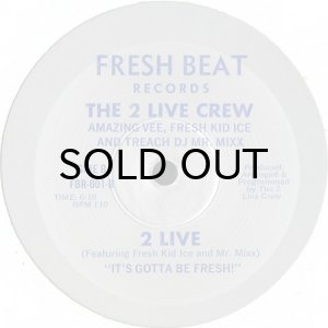 画像2: THE 2 LIVE CREW / THE REVELATION (2)