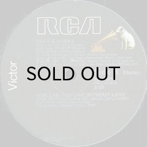 画像2: GREY & HANKS / DANCIN' (12) (2)