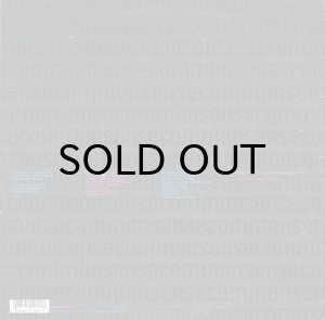 画像2: COMMON SENSE / I USED TO LOVE H.E.R. (2)