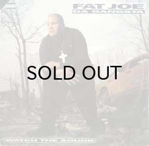 画像1: FAT JOE / WATCH THE SOUND (1)