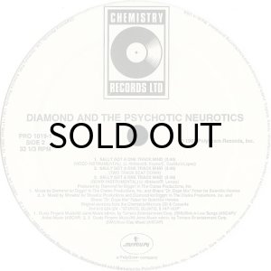 画像3: DIAMOND D AND THE PSYCHOTIC NEUROTICS / SALLY GOT A ONE TRACK MIND (PROMO) (3)