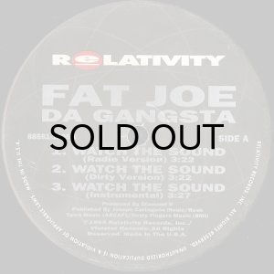 画像3: FAT JOE / WATCH THE SOUND (3)