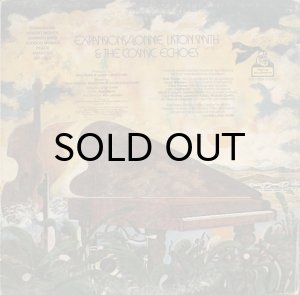 画像2: LONNIE LISTON SMITH & THE COSMIC ECHOES / EXPANSIONS (LP) (2)