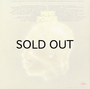 画像2: JAMES BROWN / THE PAYBACK (LP) (2)